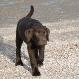 mijn eerste kleine wandeling langs het strand