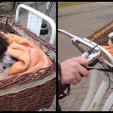 zijn eerste echte fiesttochtje in de mand.