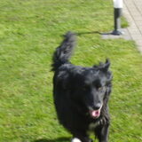 zita te lope
