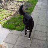 Foto van lisa en laycka