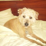 lief lief lief!!! (op vakantie in scheveningen)