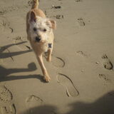 wat is ie toch weer schatig! (op vakantie in scheveningen)