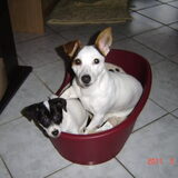 Foto van Nathalie