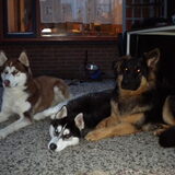 Foto van Marjo en Kiba