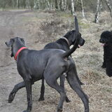 Foto van Mirjam en Curly Koda