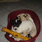 Foto van Nathalie