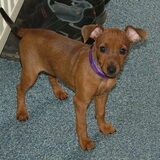 Dit is Angel,die heb ik nog wel in bezit. 10-03-2011