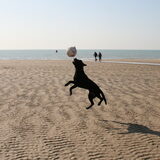 Jump! Lekker ballen op het strand
