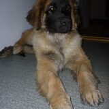 4 maanden en 2 dagen oud