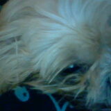 Loekie :P