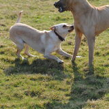 Foto van Sanne & Bo