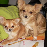 mama en papa