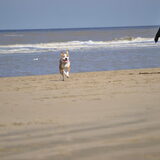 I love the beach!