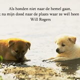 Honden hemel