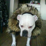 Foto van Lady,,,Melissa,,,Rocco