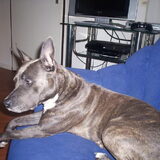 dit is nou beppie
