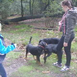 Foto van Sanne & Rottweiler Bo