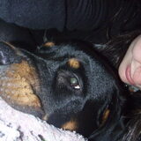 Foto van Sanne & Rottweiler Bo