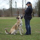 Foto van Marion  en Django