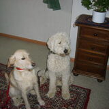 moeder en zoon (tara en doodle)