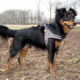 Jip Nu 15 maart 2011 (is het echt dezelfde?)