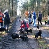 Joep tijdens de schipperkeswandeling