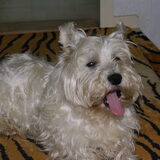 gapen