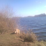 Foto van Hans