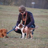 Op de Dijk met Caya en Finn