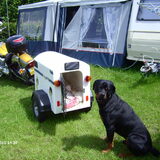 ja tibo waakt over zijn hondentrailer