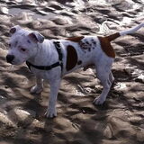 op het strand