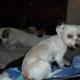 en Ginny ook