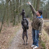 Nog eens springen