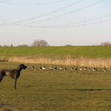 Even mooi staan!