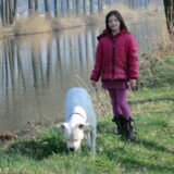 Foto van fortuna