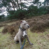 Foto van cynnie