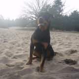 Foto van Sanne & Rottweiler Bo