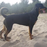 Foto van Sanne & Rottweiler Bo
