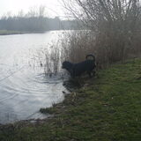 Foto van Sanne & Rottweiler Bo