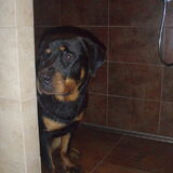 Douche-time!