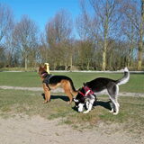 Foto van Ayla & Yuna