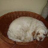Foto van Nynke en Cody
