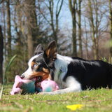 Foto van Nicky en Maggie