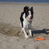 Foto van Nicky en Maggie