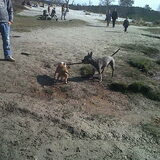 Foto van Janine && Bullet