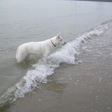 Wat is daar aan de hand??