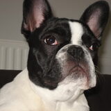 men lief achatje