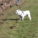 Foto van Vincent&Daisy