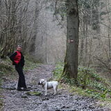 Foto van Vincent&Daisy