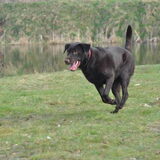 Foto van Elke <3 Bo